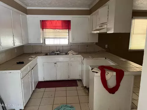 142 Queen Joanna Ln, Jackson, MS 39209 photo 3