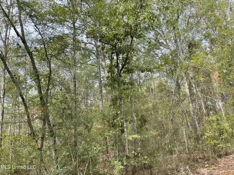 0 Elam Church Rd, Pearl, MS 39208
