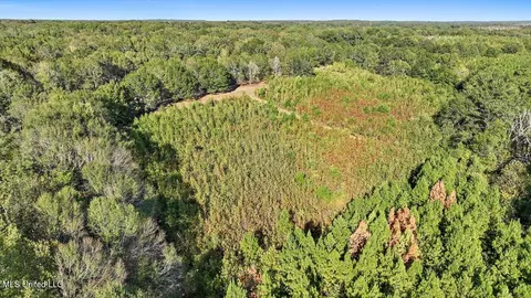 00010 Midway Rd, Clinton, MS 39056 photo 22