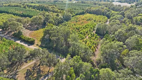 00010 Midway Rd, Clinton, MS 39056 photo 6