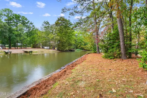129 Whippoorwill Rd, Brandon, MS 39047 photo 42