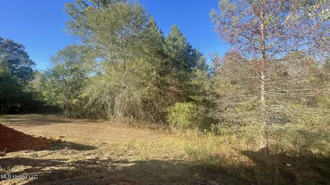 1290 Wicker Mill Rd, Pulaski, MS 39152 photo 29