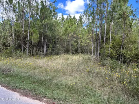 No Hazel Bounds, Vancleave, MS 39565