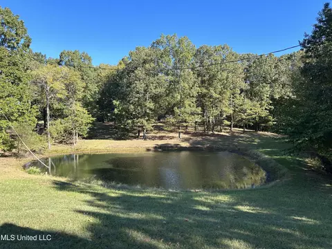 2100 Jr Johnson Rd, Sardis, MS 38666 photo 7