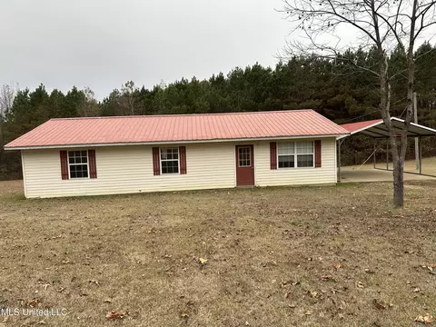 Exterior - 4843 Holcomb Sweethome Rd, Holcomb, MS 38940 photo 3 of 5