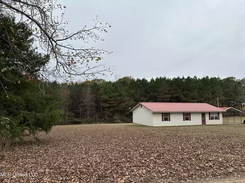 Exterior - 4843 Holcomb Sweethome Rd, Holcomb, MS 38940 photo 2 of 5
