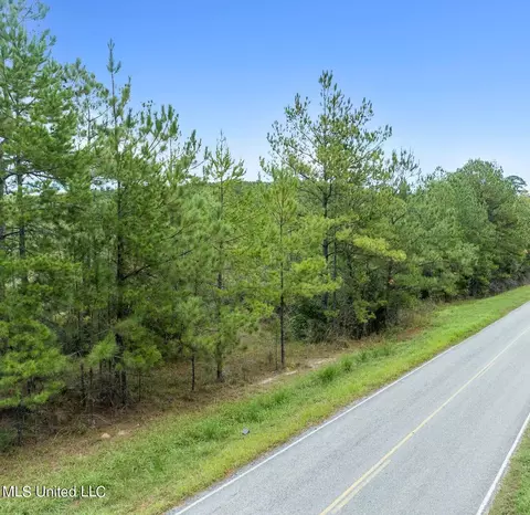 14 57 Ac Indian Hill Rd, State Line, MS 39362