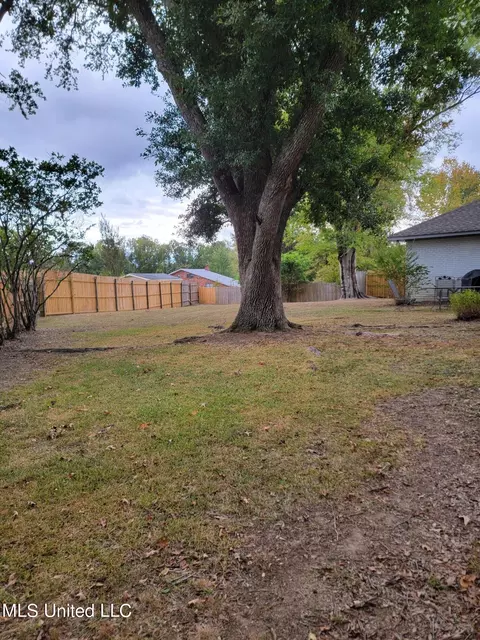 907 Rutherford Dr, Jackson, MS 39206 photo 50