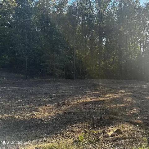 lot15 Michael Dr, Lake Cormorant, MS 38641