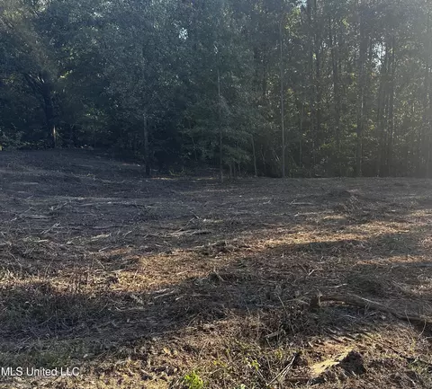 lot6 Summer Cir, Lake Cormorant, MS 38641