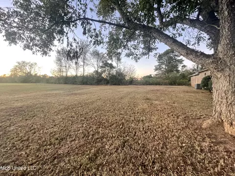 Exterior - 10011 Road 505, Union, MS 39365 photo 12 of 14