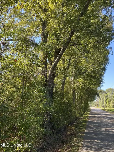 116 Sixth Ave, Carriere, MS 39426