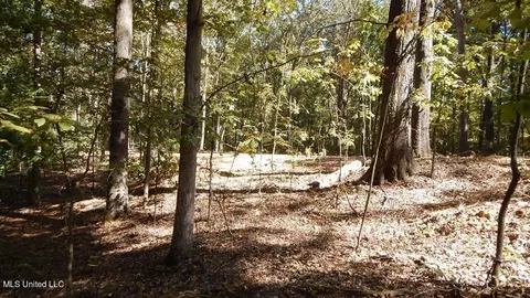 100 Kimes Cv, Sardis, MS 38666 photo 9