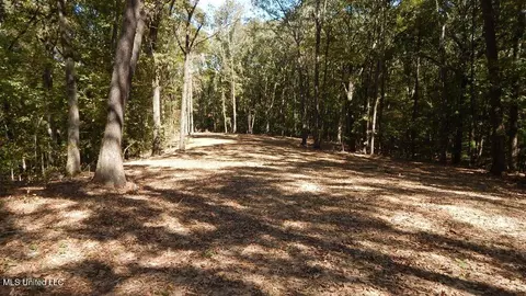 100 Kimes Cv, Sardis, MS 38666 photo 12