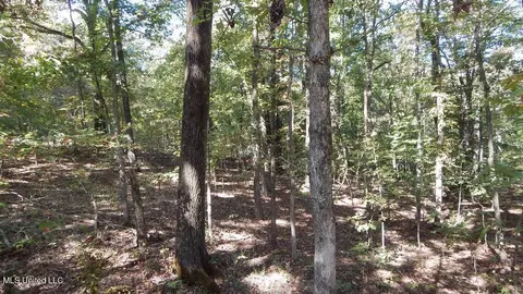 100 Kimes Cv, Sardis, MS 38666 photo 8
