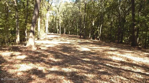 100 Kimes Cv, Sardis, MS 38666 photo 4