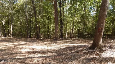100 Kimes Cv, Sardis, MS 38666 photo 5