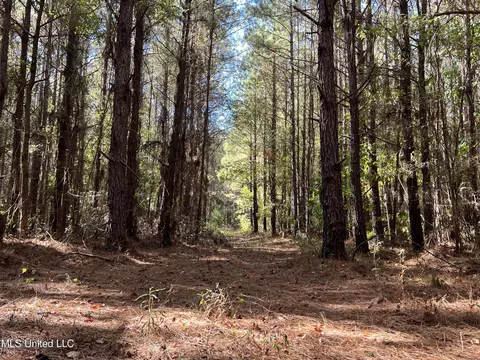 Sandhill Road, Pisgah, MS 39047