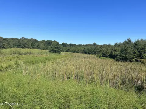 No Pinion Road, Lambert, MS 38643 photo 5