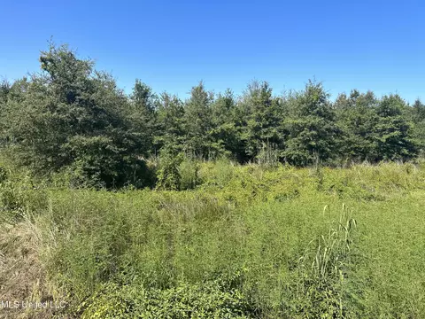 No Pinion Road, Lambert, MS 38643 photo 3