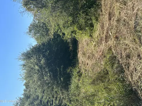 No Pinion Road, Lambert, MS 38643 photo 11