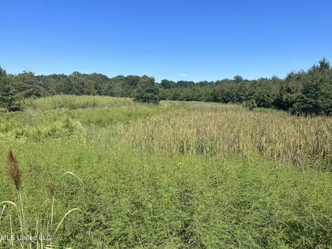 No Pinion Road, Lambert, MS 38643 photo 2