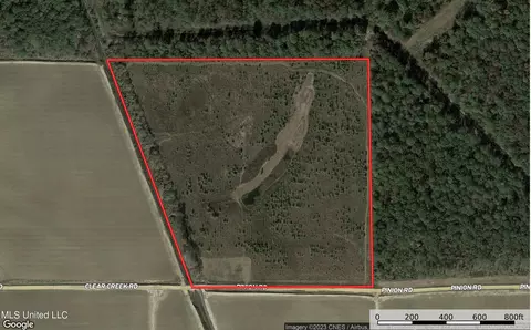 No Pinion Road, Lambert, MS 38643 photo 17