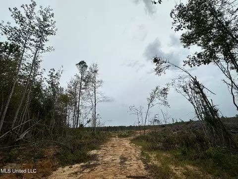 Cr 1115, Kosciusko, MS 39090 photo 11
