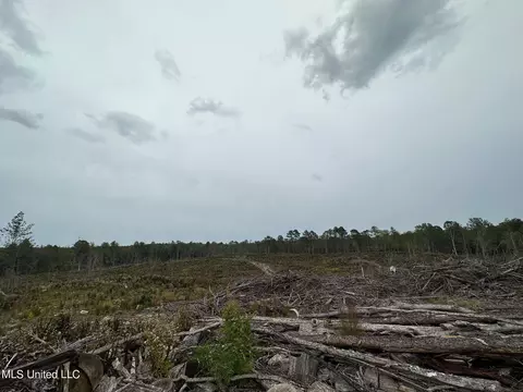 Cr 1115, Kosciusko, MS 39090 photo 13