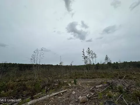 Cr 1115, Kosciusko, MS 39090 photo 12