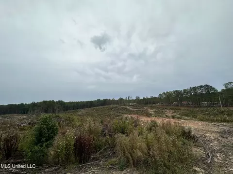 Cr 1115, Kosciusko, MS 39090 photo 10