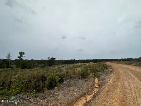 Cr 1115, Kosciusko, MS 39090 photo 9