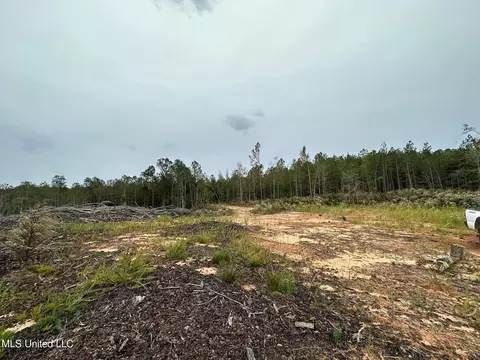Cr 1115, Kosciusko, MS 39090 photo 14