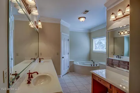 Bath - 1133 Greers Landing Dr, Hernando, MS 38632 photo 2 of 6