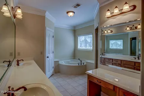 Bath - 1133 Greers Landing Dr, Hernando, MS 38632 photo 3 of 6