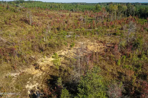 Mt Pleasant Road, Noxapater, MS 39346 photo 9
