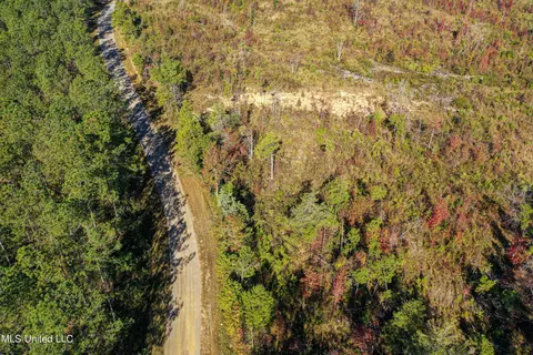 Mt Pleasant Road, Noxapater, MS 39346 photo 11