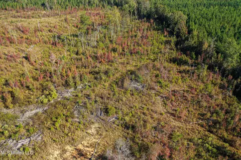 Mt Pleasant Road, Noxapater, MS 39346 photo 10