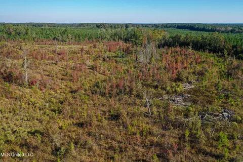 Mt Pleasant Road, Noxapater, MS 39346 photo 8