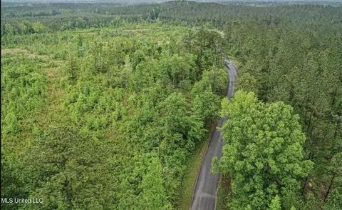 Mt Pleasant Road, Noxapater, MS 39346