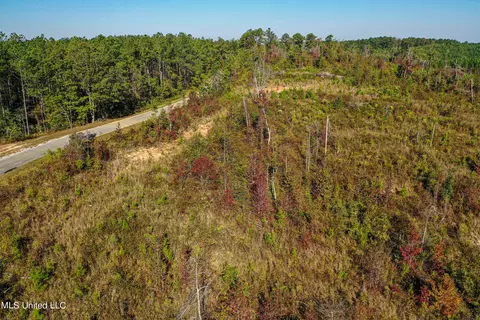 Mt Pleasant Road, Noxapater, MS 39346 photo 7