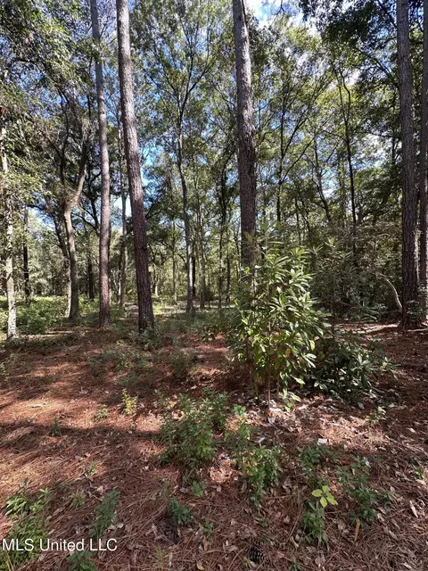 Green Thumb Drive, Biloxi, MS 39532