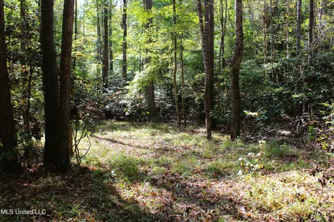 tbd 216 Cr 445, Oxford, MS 38655