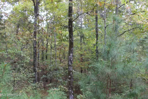 4735 Jason Patrick Rd, Senatobia, MS 38668 photo 20