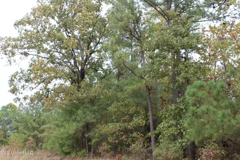 4735 Jason Patrick Rd, Senatobia, MS 38668 photo 31