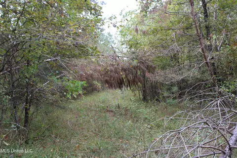 4735 Jason Patrick Rd, Senatobia, MS 38668 photo 25
