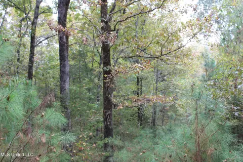 4735 Jason Patrick Rd, Senatobia, MS 38668 photo 19