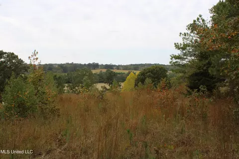 4735 Jason Patrick Rd, Senatobia, MS 38668 photo 12