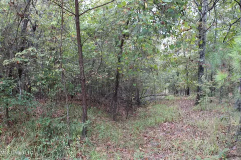 4735 Jason Patrick Rd, Senatobia, MS 38668 photo 14