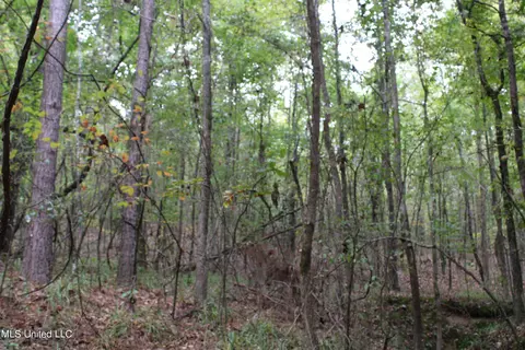 4735 Jason Patrick Rd, Senatobia, MS 38668 photo 21